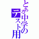 とある中学のテスト用紙（）