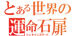 とある世界の運命石扉（シュタインズゲート）