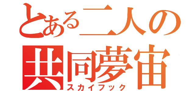 とある二人の共同夢宙（スカイフック）