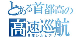 とある首都高の高速巡航（日産シルビア）