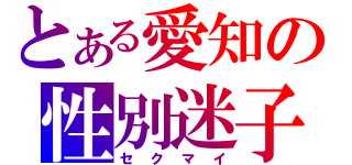 とある愛知の性別迷子（セクマイ）