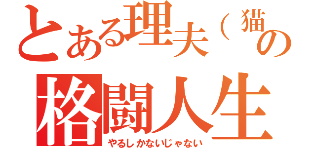 とある理夫（猫）の格闘人生（やるしかないじゃない）