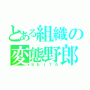 とある組織の変態野郎（ＳＥＩＴＡ）