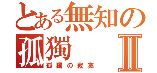 とある無知の孤獨Ⅱ（孤獨の寂寞）