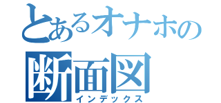 とあるオナホの断面図（インデックス）