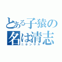 とある子猿の名は清志（ニホンザル）