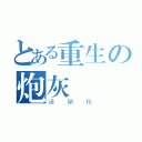 とある重生の炮灰（请躺枪）