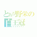 とある野栄の白王冠（１５クラウン）