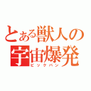 とある獣人の宇宙爆発（ビックバン）