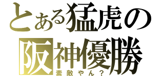 とある猛虎の阪神優勝（素敵やん？）