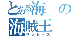 とある海の海賊王（ワンピース）