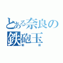 とある奈良の鉄砲玉（朝霧）