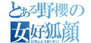 とある野櫻の女好狐顔（にちじょうせいかつ）