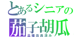 とあるシニアの茄子胡瓜（品種改良済み）