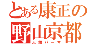 とある康正の野山京都（天然パーマ）