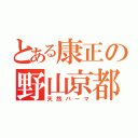 とある康正の野山京都（天然パーマ）