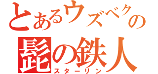 とあるウズベクの髭の鉄人（スターリン）