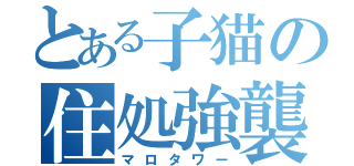 とある子猫の住処強襲（マロタワー）