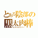 とある陰部の黒太肉棒（エクスカリバー）