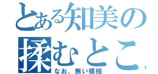 とある知美の揉むところ（なお、無い模様）