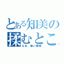 とある知美の揉むところ（なお、無い模様）