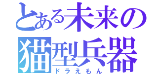 とある未来の猫型兵器（ドラえもん）