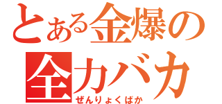 とある金爆の全力バカ（ぜんりょくばか）