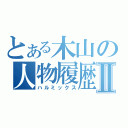 とある木山の人物履歴Ⅱ（ハルミックス）