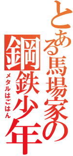 とある馬場家の鋼鉄少年（メタルはごはん）