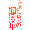 とある馬場家の鋼鉄少年（メタルはごはん）