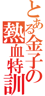 とある金子の熱血特訓（）