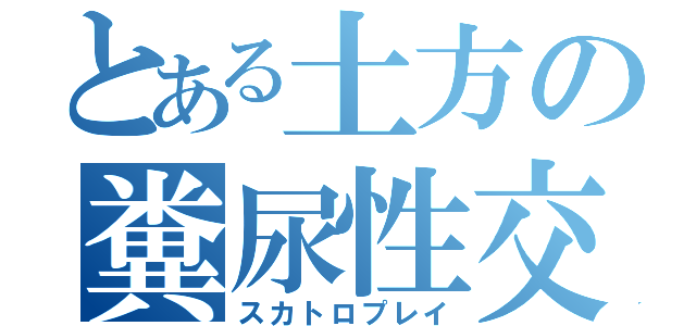 とある土方の糞尿性交（スカトロプレイ）