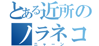 とある近所のノラネコ（ニャーン）