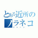 とある近所のノラネコ（ニャーン）