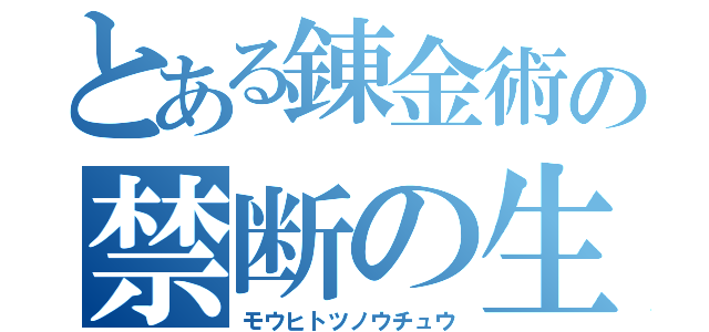 とある錬金術の禁断の生成（モウヒトツノウチュウ）