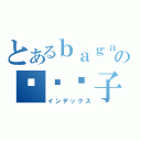 とあるｂａｇａの烧饼团子（インデックス）