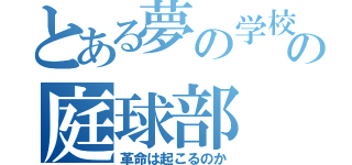 とある夢の学校の庭球部（革命は起こるのか）