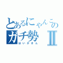 とあるにゃんこのガチ勢Ⅱ（はいかきん）