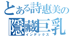 とある詩惠美の隱藏巨乳說（インデックス）