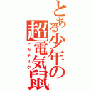 とある少年の超電気鼠（ピカチュウ）