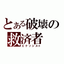 とある破壊の救済者（エクソシスト）