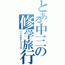 とある中三の修学旅行（シュウガクリョコウ）