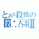 とある殺戮の殺˙天羽舞Ⅱ（小胖胖胖）