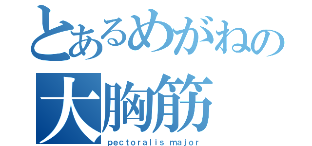 とあるめがねの大胸筋（ｐｅｃｔｏｒａｌｉｓ ｍａｊｏｒ）