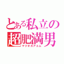 とある私立の超肥満男（マツオカアユム）