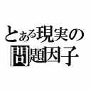 とある現実の問題因子（）