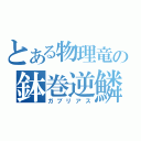 とある物理竜の鉢巻逆鱗（ガブリアス）