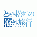 とある松拓の海外旅行（パラオ訪問）