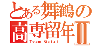 とある舞鶴の高専留年Ⅱ（Ｔｅａｍ Ｇａｉｚｉ）