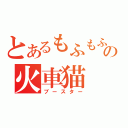 とあるもふもふの火車猫（ブースター）